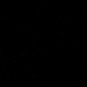 Meet your Posher, Denis